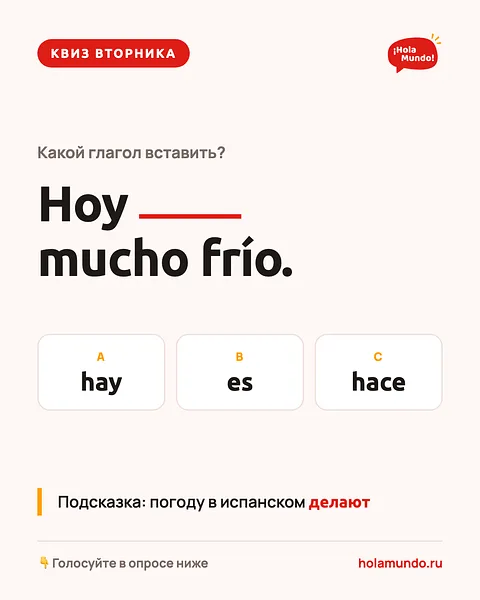 Квиз вторника 🌡
